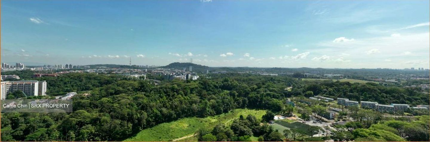 Pinetree Hill (D21), Condominium #438352191